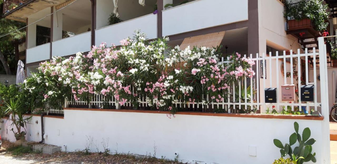 Appartement Casa Perciata - Locazione Turistica à Mondello Extérieur photo